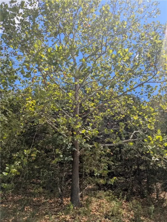 112 Appaloosa Drive, Holiday Island, AR 72631 - Image #3