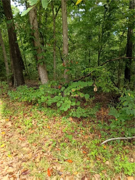 Wishaw Drive, Bella Vista, AR 72715 - #3