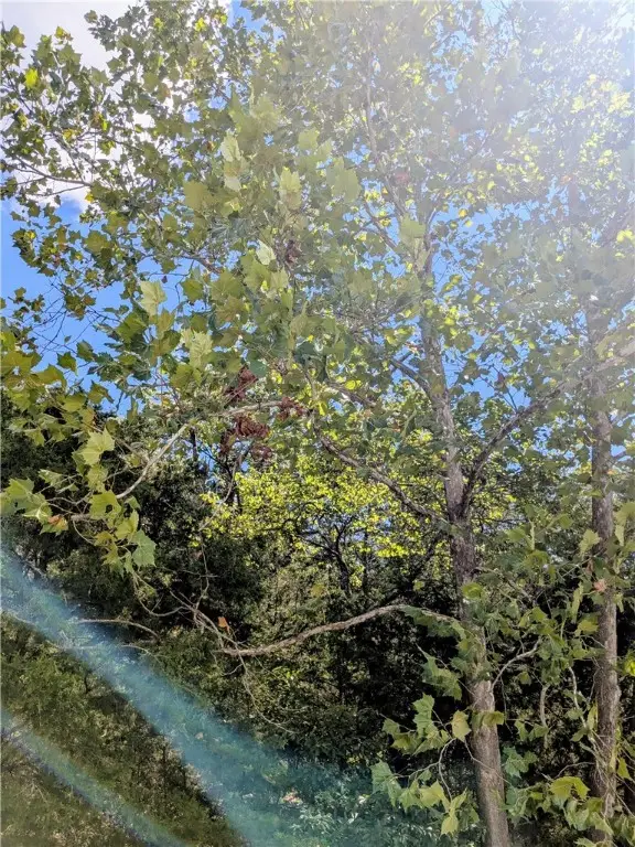 114 Appaloosa Drive, Holiday Island, AR 72631 - Image #3