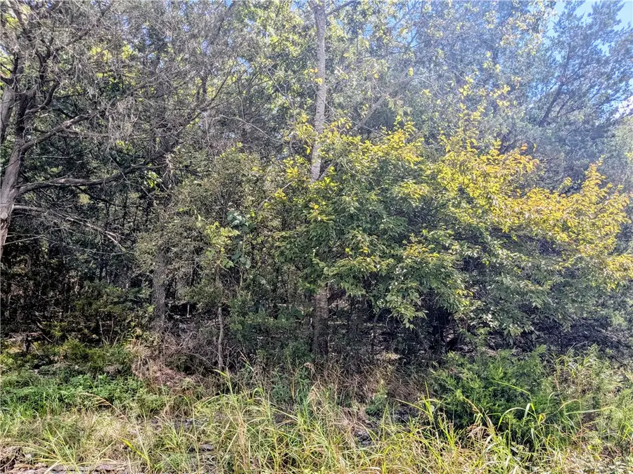 122 Appaloosa Drive, Holiday Island, AR 72631 - Image #3