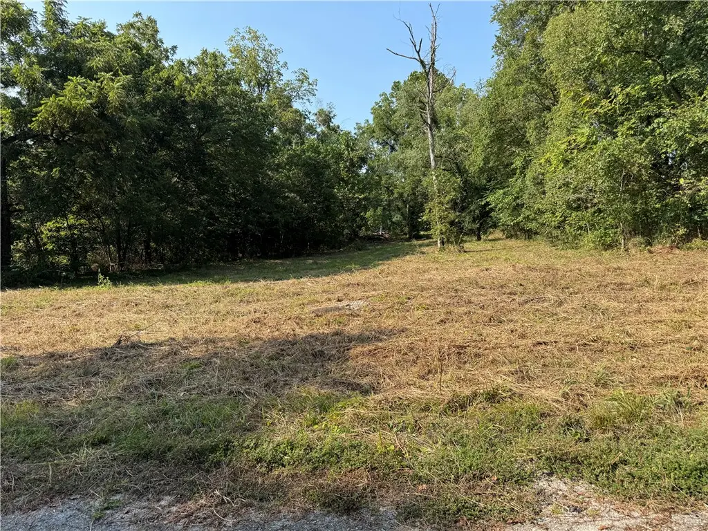 TBD Spring Avenue, Sulphur Springs, AR 72768 - Image #1