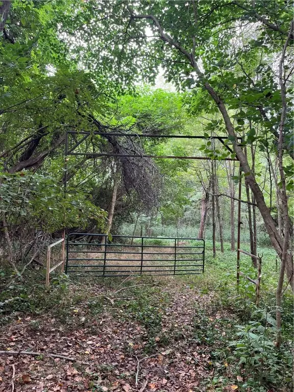 Gum Springs Road, Parthenon, AR 72666 - Image #2