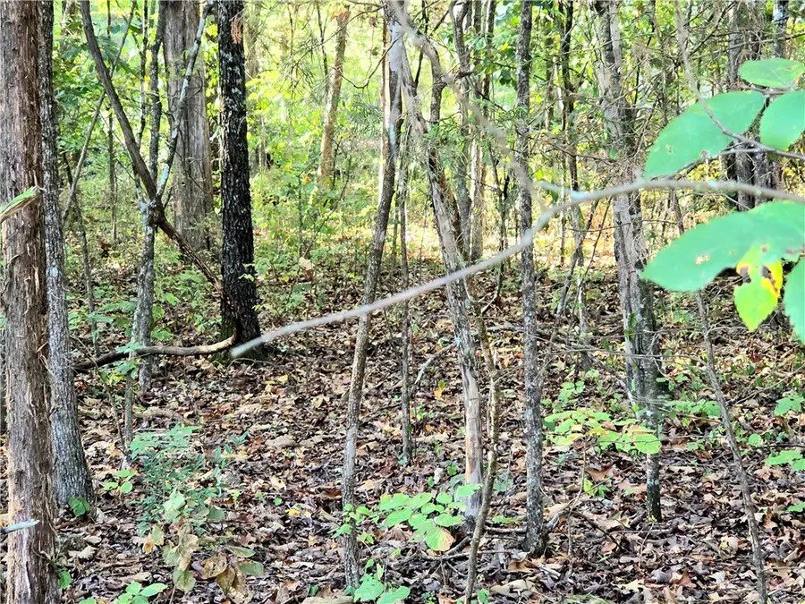 E Sumac Drive, Diamond City, AR 72644 - Image #2