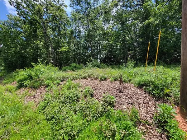 Lot 24 Branchwood Drive, Bella Vista, AR 72715