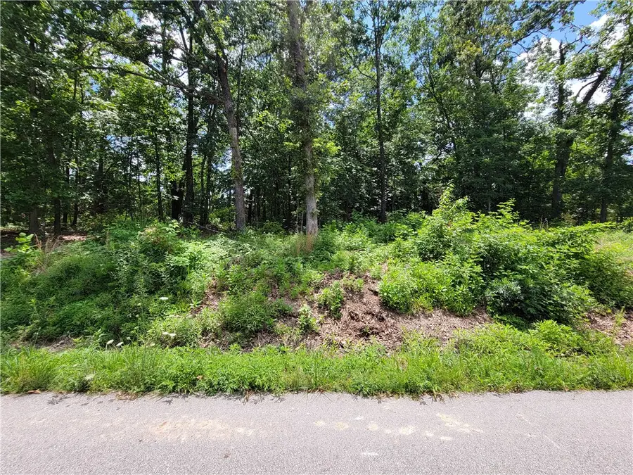 Lot 24 Branchwood Drive, Bella Vista, AR 72715 - #3