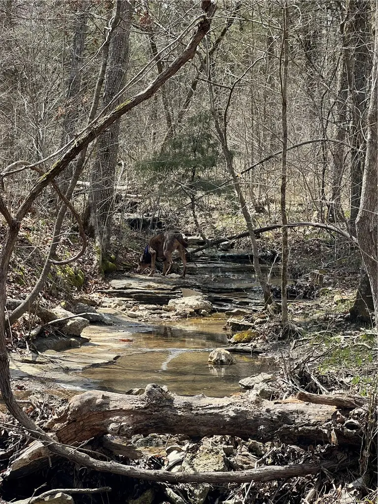 Lot 45 Oaks Landing Drive, Eureka Springs, AR 72631 - #3