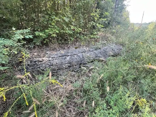 20 Sunset Lane, Holiday Island, AR 72631 - Image #2