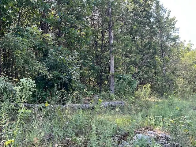 20 Sunset Lane, Holiday Island, AR 72631 - Image #3