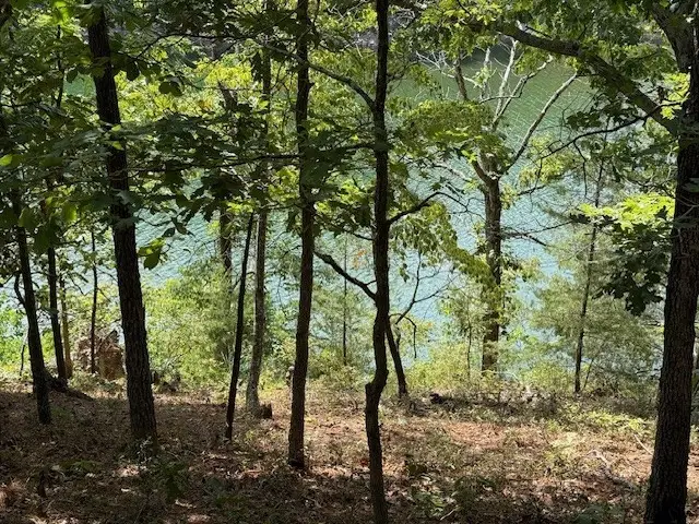 Lots 9,10,11 Lakeside Drive, Rogers, AR 72756 - Image #1