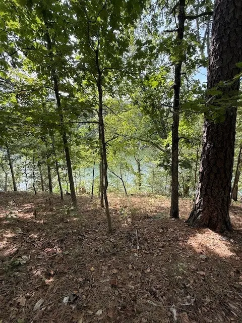 Lots 9,10,11 Lakeside Drive, Rogers, AR 72756 - Image #2