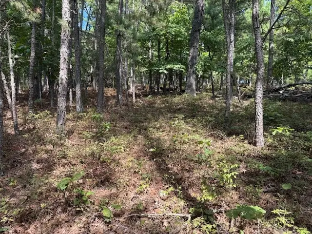 Lots 9,10,11 Lakeside Drive, Rogers, AR 72756 - Image #3