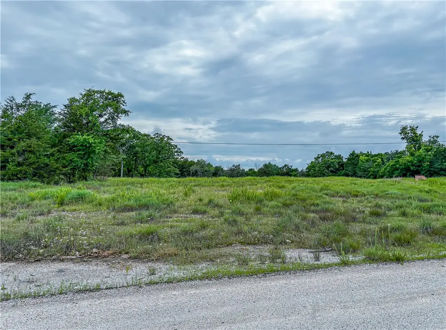 3120 Mc 2027, Yellville, AR 72687 - #2