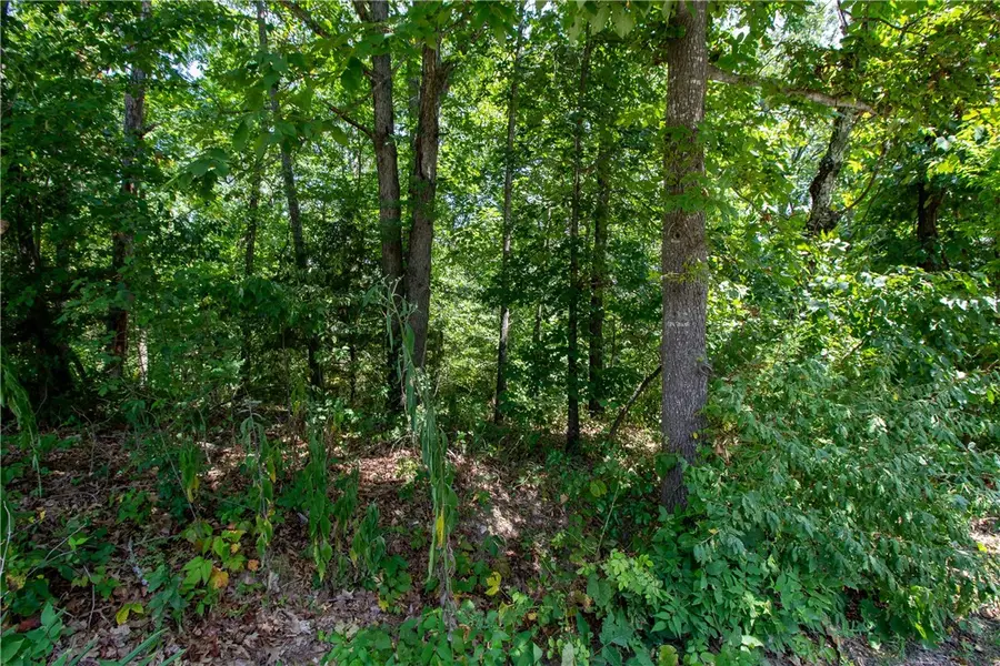 14600 Canyon Road, Bella Vista, AR 72715 - #3