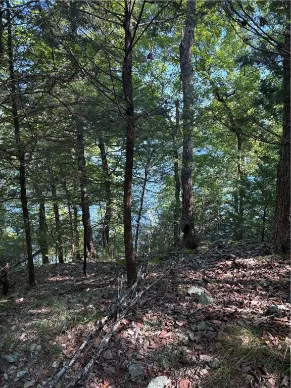 Lot 12 Barzel Point Road, Springdale, AR 72756 - Image #2