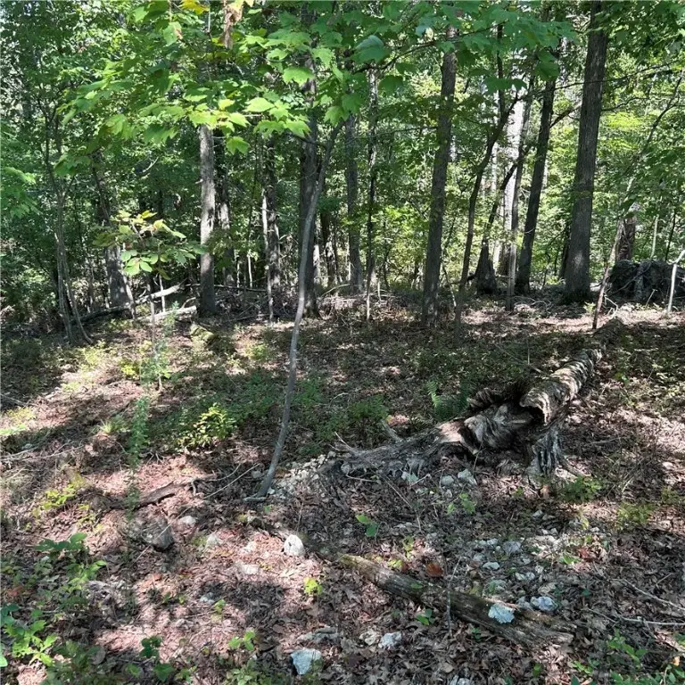 Railroad Cut Road, Rogers, AR 72756 - Image #2