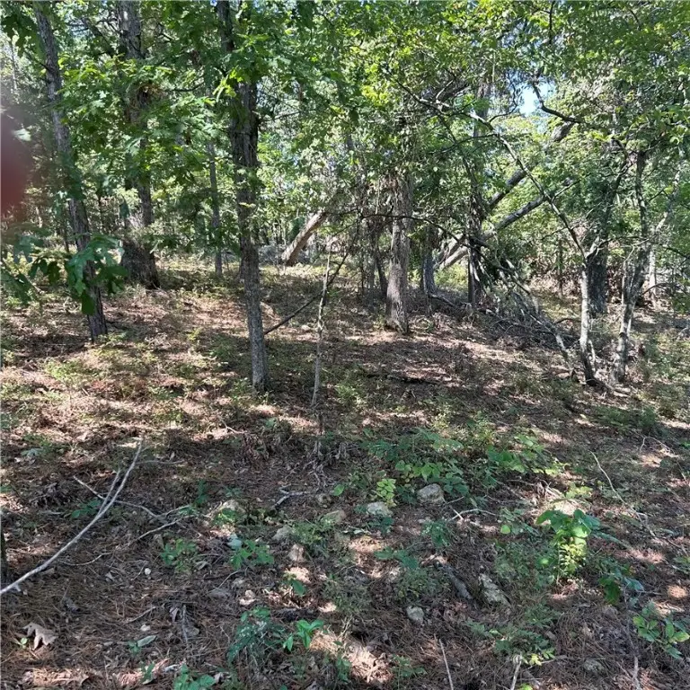 Railroad Cut Road, Rogers, AR 72756 - Image #3