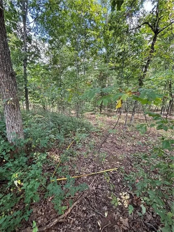 Granshire Drive, Bella Vista, AR 72714