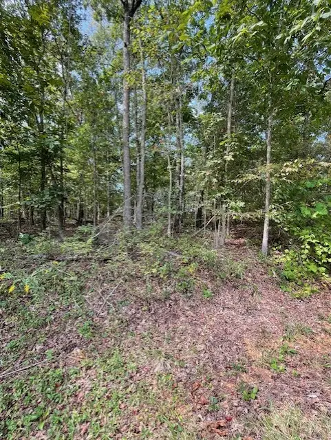 Ruthwell Drive, Bella Vista, AR 72715 - #1