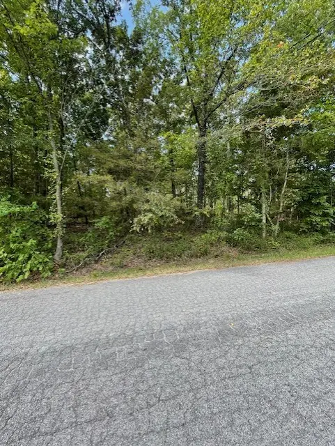 Ruthwell Drive, Bella Vista, AR 72715 - #3