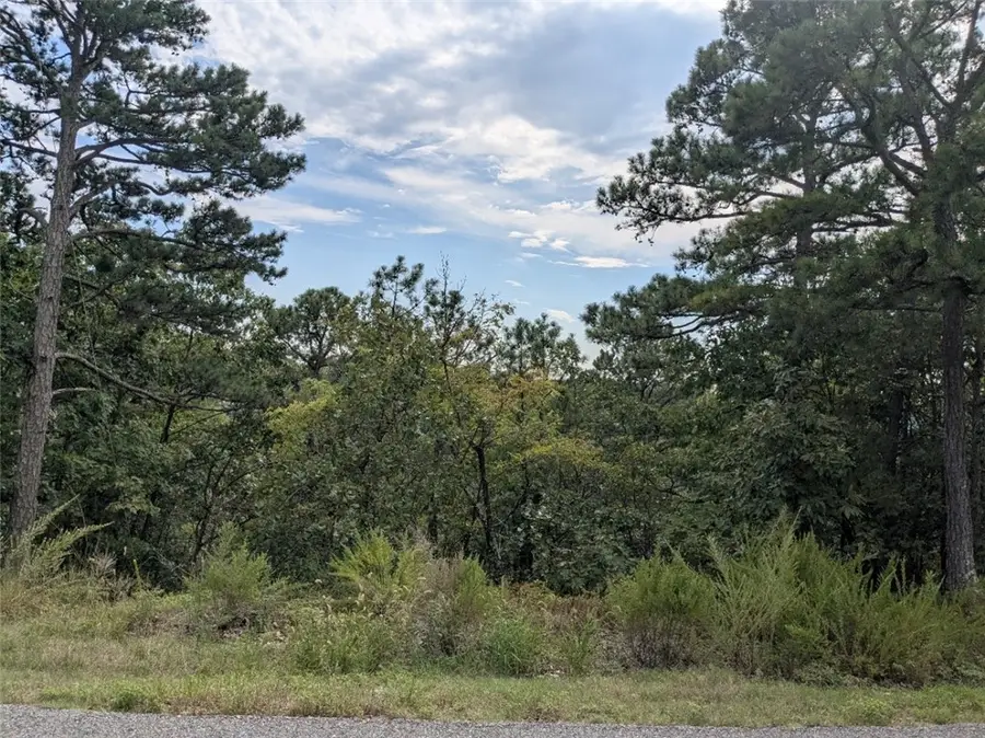 21 Serenity Lane, Holiday Island, AR 72631 - Image #3