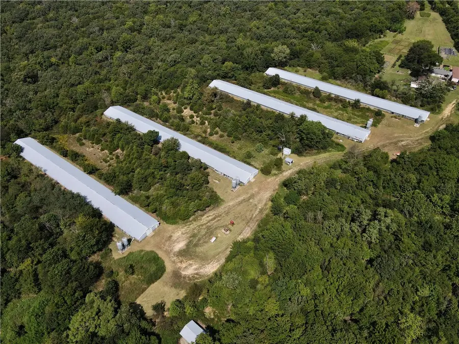 16041 Clyde Road, Canehill, AR 72717 - Image #3