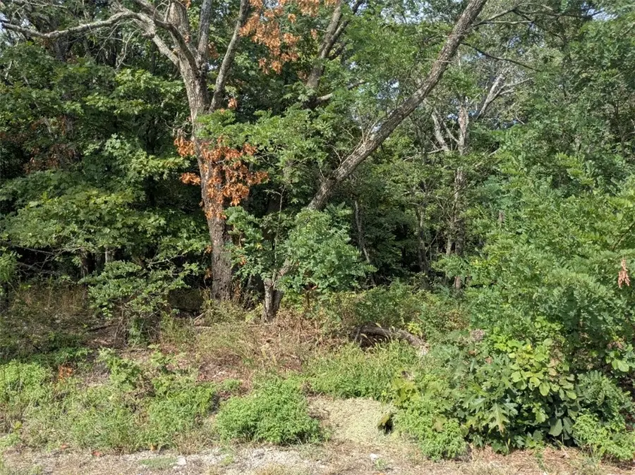 12 Serenity Lane, Holiday Island, AR 72631 - Image #3