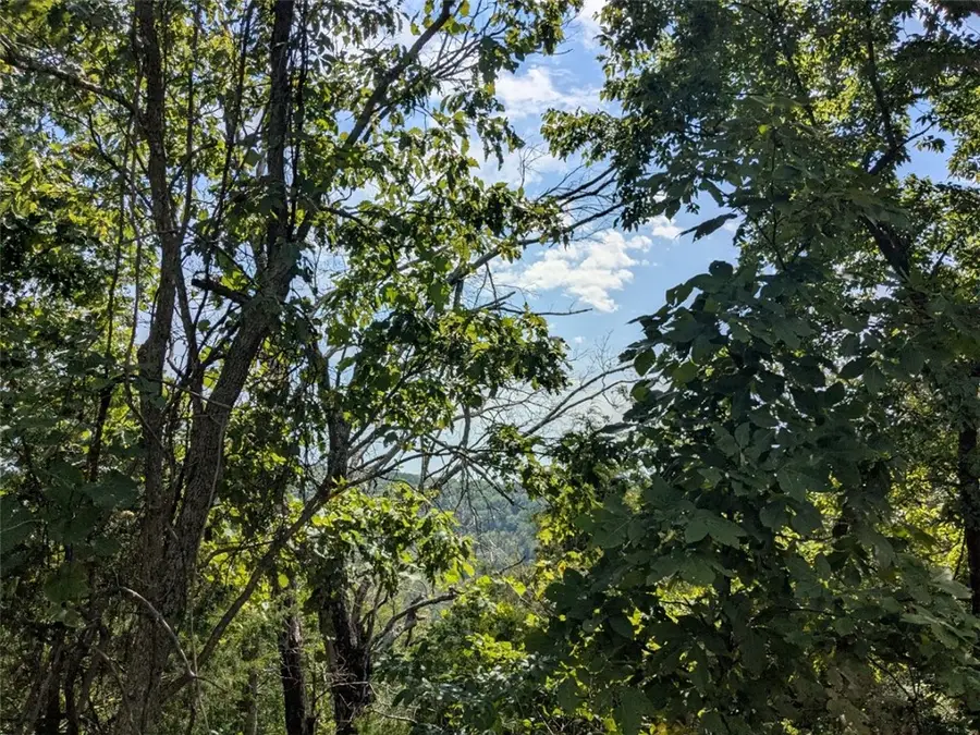 29 Cypress Point Lane, Holiday Island, AR 72631 - Image #3