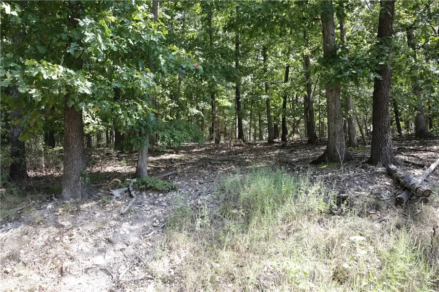 Lot 11 Dickenshire Drive, Bella Vista, AR 72714 - Image #2