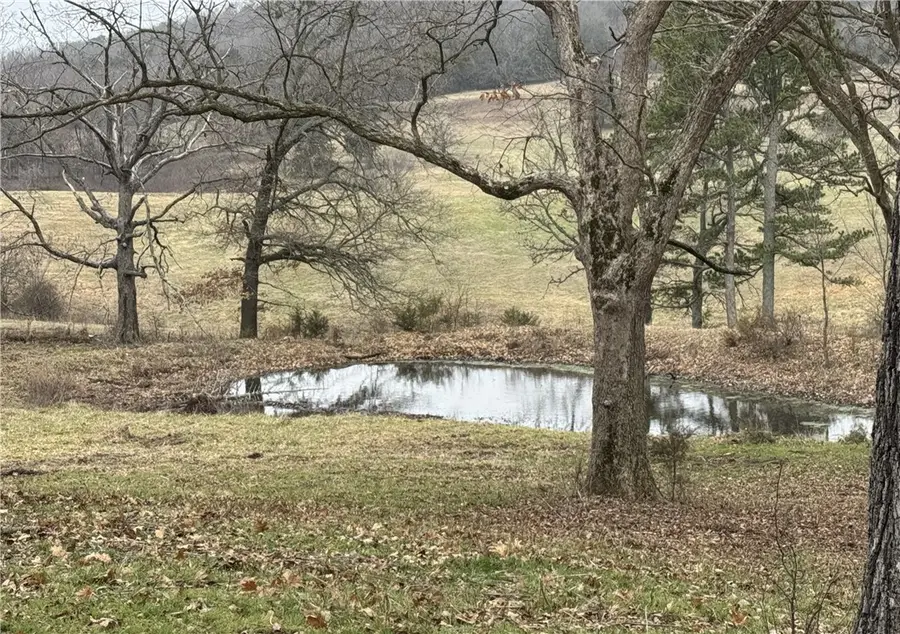 Tract B Nicewarner Road, Lincoln, AR 72744 - Image #3