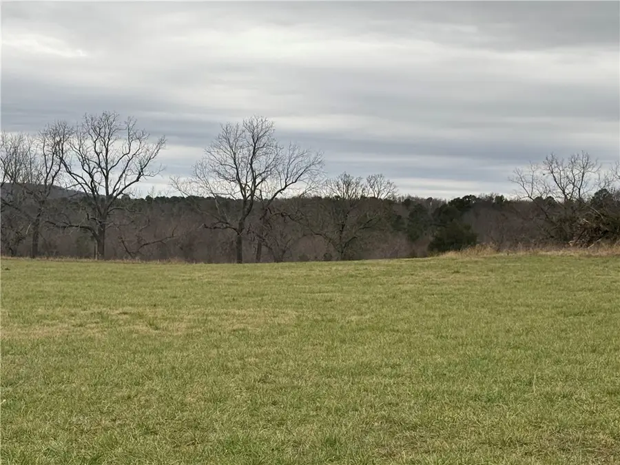 Tract B-1 Nicewarner Road, Lincoln, AR 72744 - Image #2