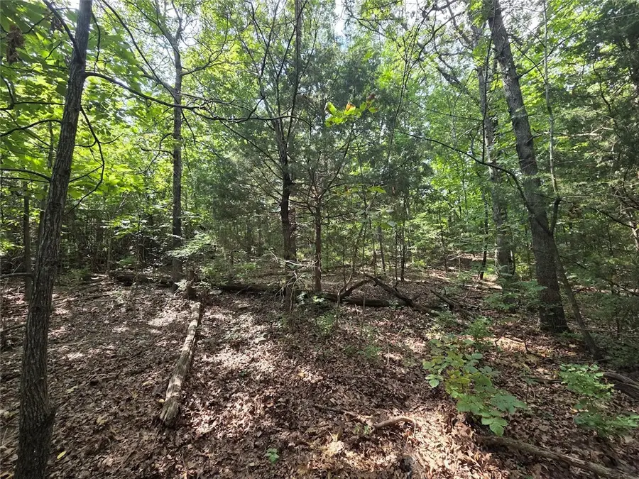 1273 N Summersby Drive, Fayetteville, AR 72701 - Image #3