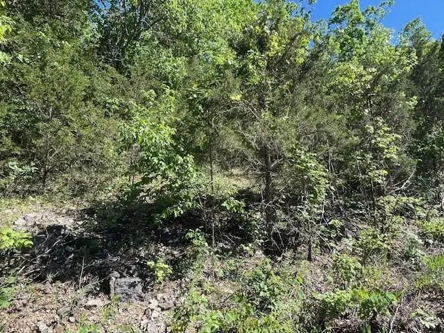 45 Pleasant Ridge Drive, Holiday Island, AR 72631 - Image #2