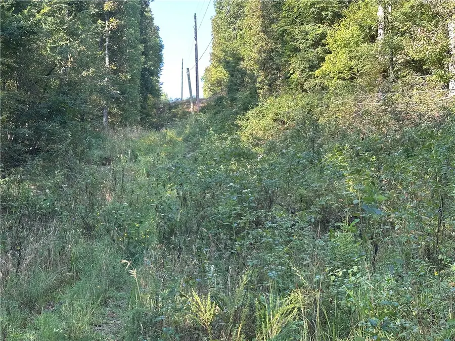 TBD Brentwood Mountain Road, Winslow, AR 72959 - Image #2