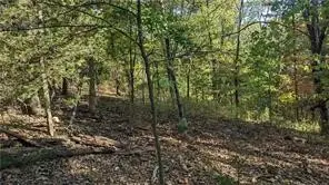 Shotliff Circle, Bella Vista, AR 72715