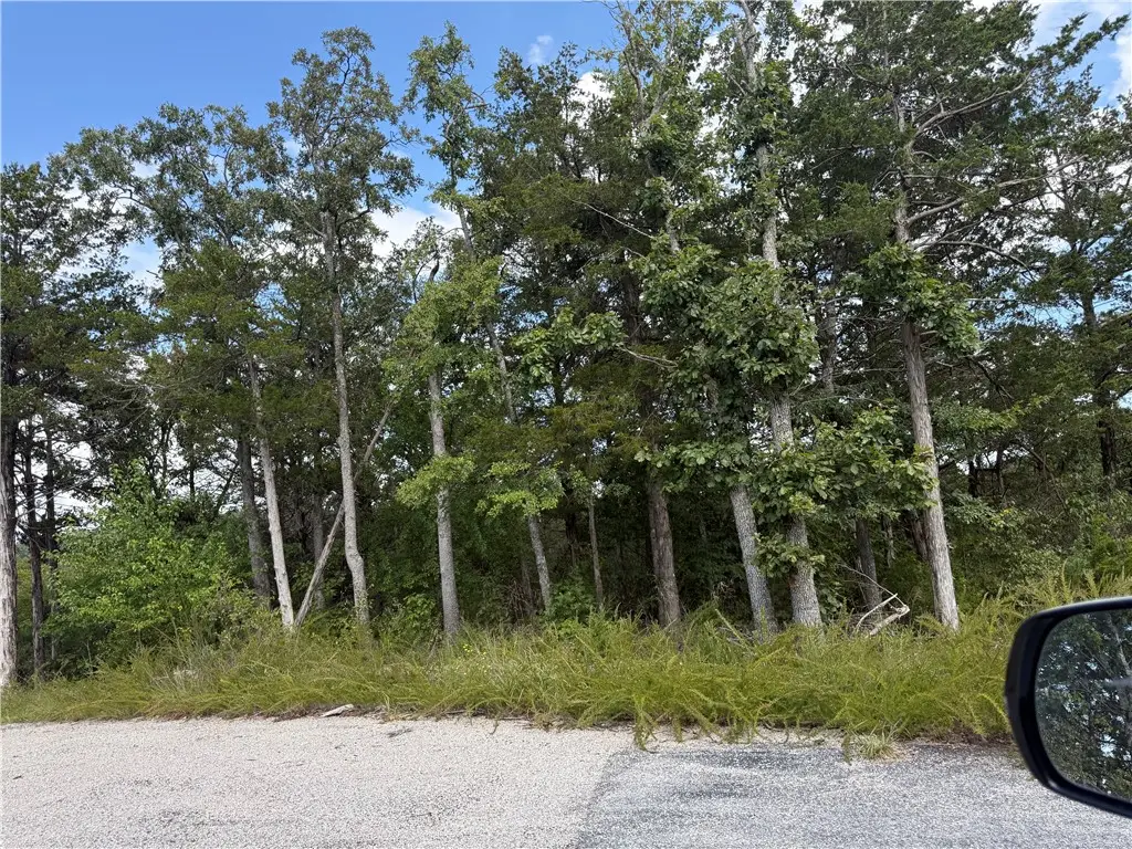 TBD Lot 33 Hannah Lane, Eureka Springs, AR 72631 - Image #1