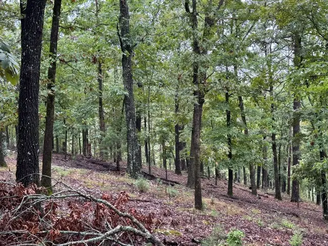 135 W Van Buren, Eureka Springs, AR 72632 - Image #1