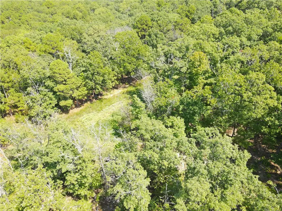 000 Cr 1160, Eureka Springs, AR 72631 - Image #2