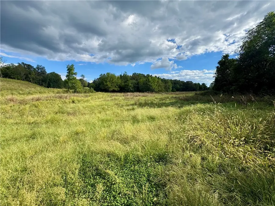 1145 Javello Road, Tontitown, AR 72762 - Image #2