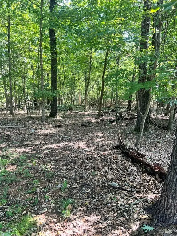 Rettendon Lane, Bella Vista, AR 72714 - Image #3