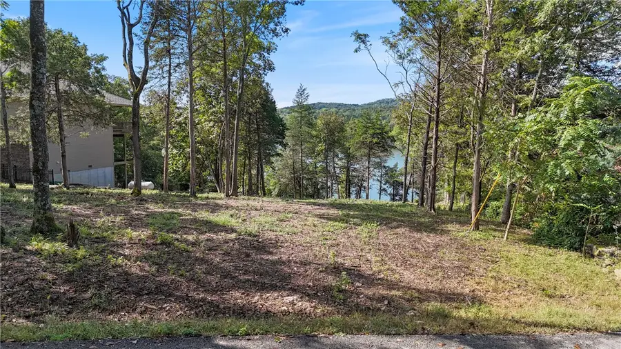 White River Cove, Holiday Island, AR 72631 - Image #2