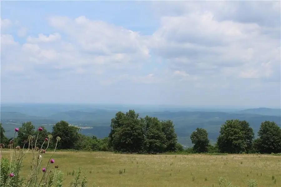 TBD Sky Island Drive, Mount Judea, AR 72655 - Image #2