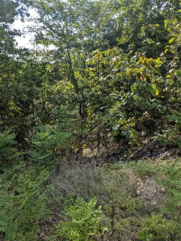 30 El Dorado Lane, Holiday Island, AR 72631 - Image #3