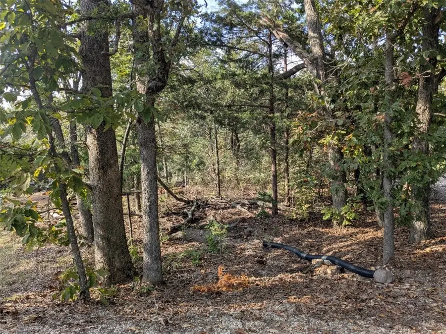 17 Rancho Vista Lane, Holiday Island, AR 72631 - Image #3