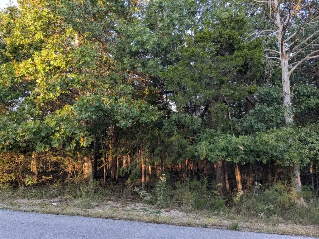 26 Table Rock Drive, Holiday Island, AR 72631 - Image #1