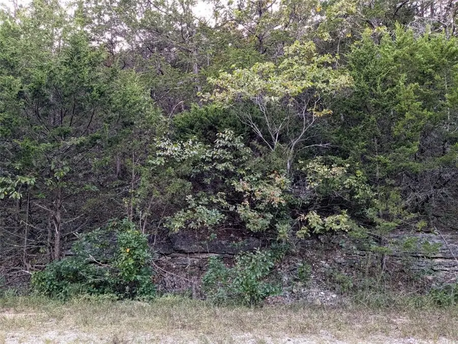 12 Oak Lane, Holiday Island, AR 72631 - Image #3