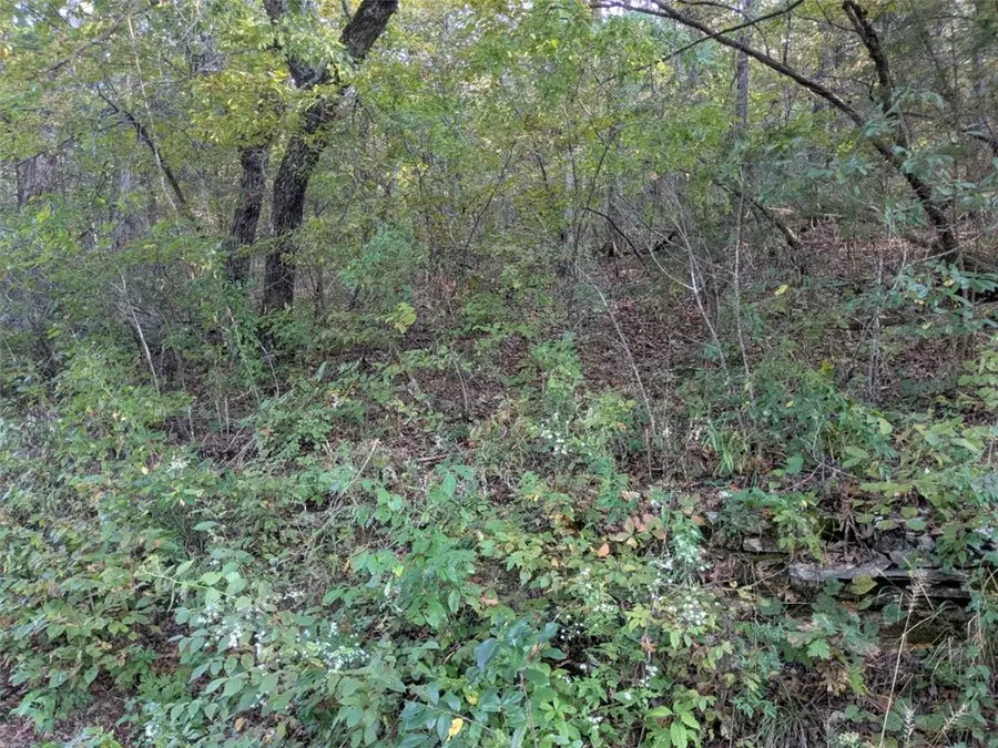 95 Wild Turkey Drive, Holiday Island, AR 72631 - Image #3