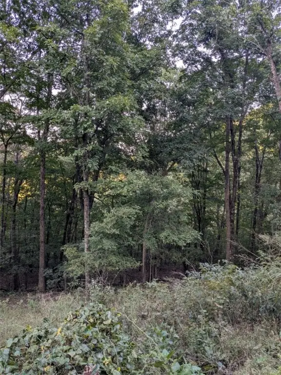 29 Wildcat Lane, Holiday Island, AR 72631 - Image #3