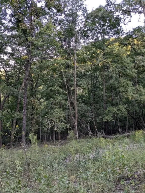 33 Wildcat Lane, Holiday Island, AR 72631 - Image #3