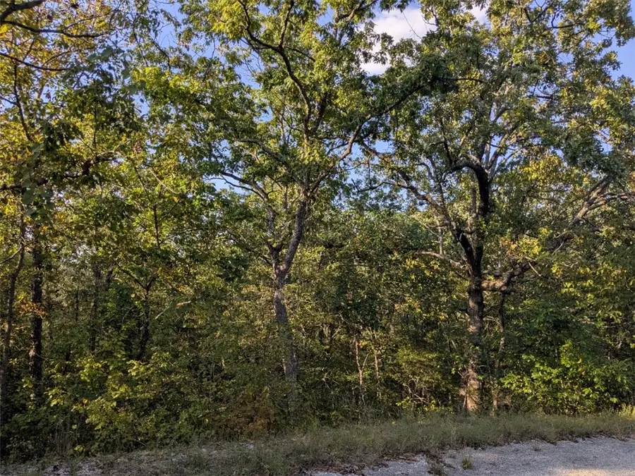 36 Starlite Avenue, Holiday Island, AR 72631 - Image #2