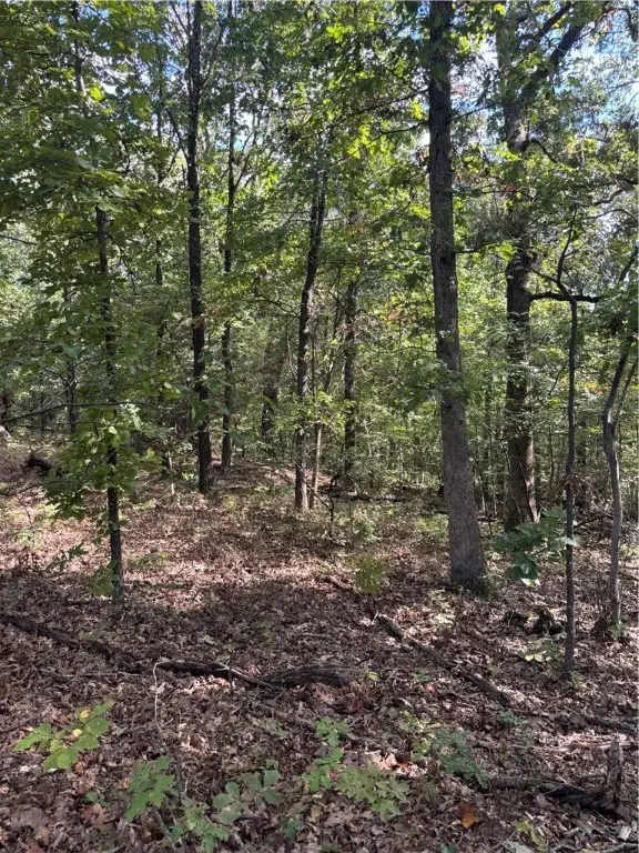 Trafalgar Road, Bella Vista, AR 72714 - Image #2